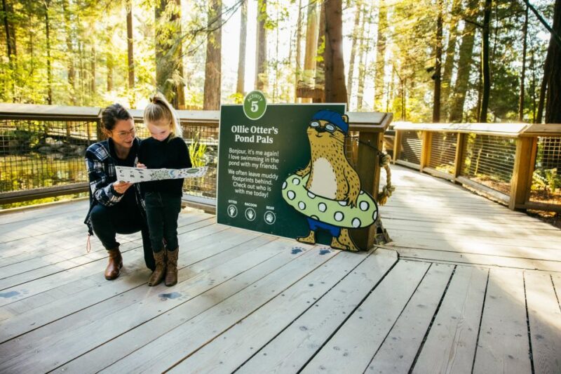 Vancouver: Capilano Suspension Bridge Park Ticket - Visitor Experience