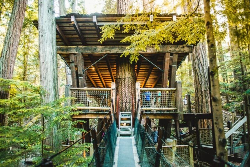 Vancouver: Capilano Suspension Bridge Park Ticket - Accessibility and Restrictions