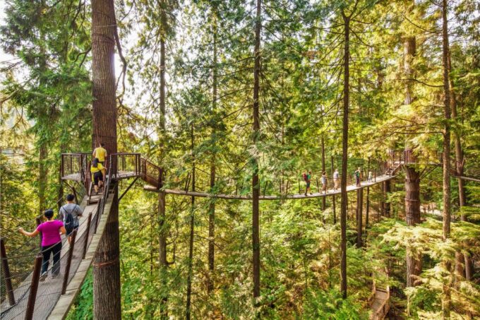 Vancouver: Capilano Suspension Bridge Park Ticket - What to Bring