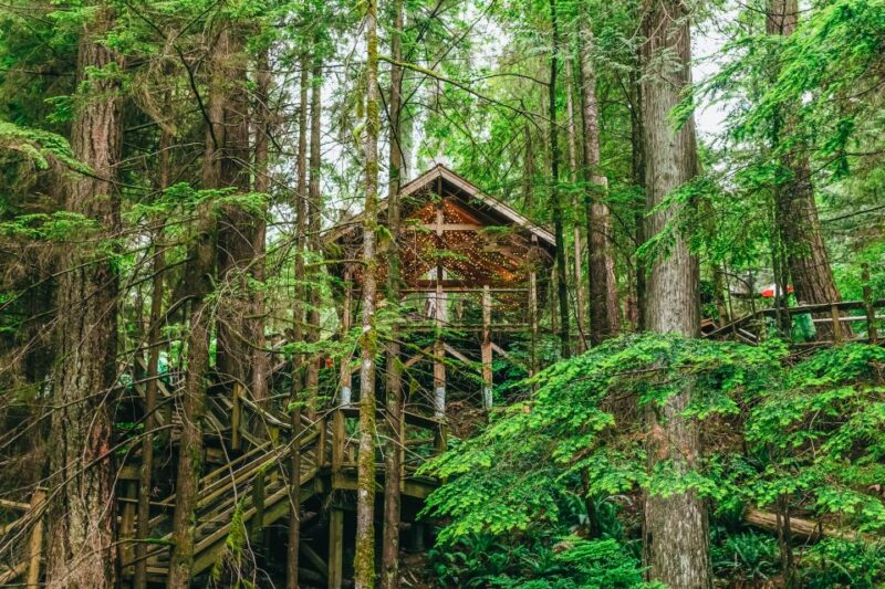 Vancouver & Capilano Suspension Bridge Sightseeing: Half-Day - Main Stops