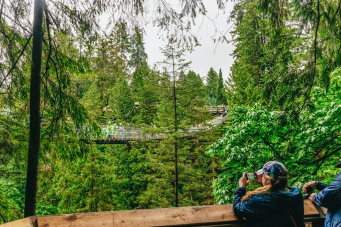 Vancouver & Capilano Suspension Bridge Sightseeing: Half-Day - Participants