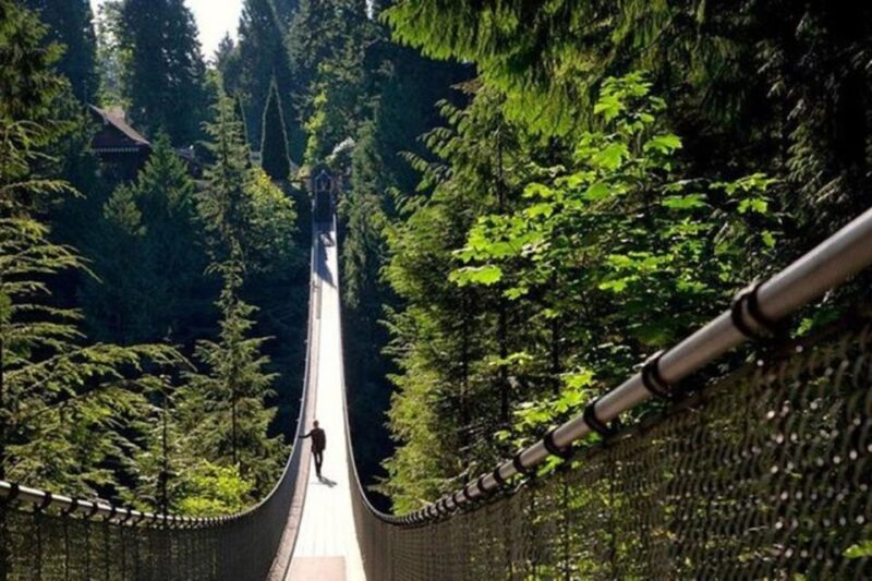 Vancouver, Capilano Suspension & Grouse Mountain Private - Key Points