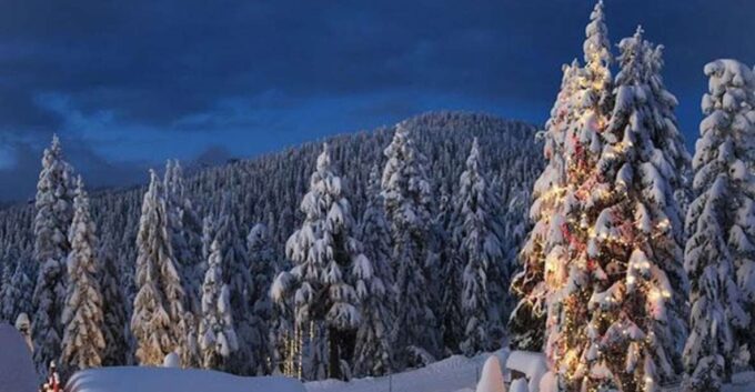 Vancouver, Capilano Suspension & Grouse Mountain Private - Additional Details