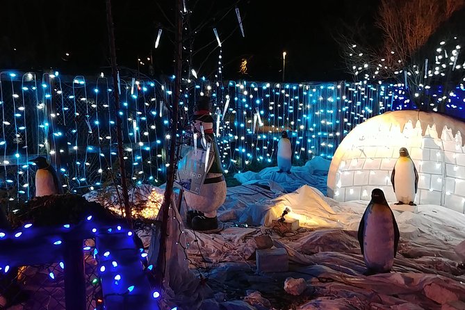 Vancouver Christmas Festival of Lights - Restrictions and Accessibility