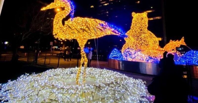 Vancouver Christmas Light Tour Private - Pricing and Payment