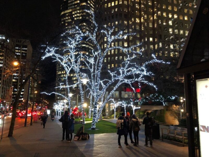 Vancouver Christmas Light Tour Private - Experience Highlights