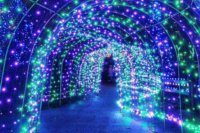 Vancouver Christmas Light Tour Private - Tour Details