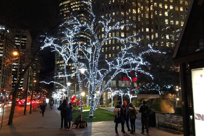Vancouver Christmas Light Tour Private - Inclusions and Exclusions