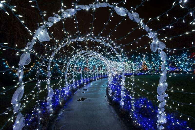 Vancouver: Christmas Lights Karaoke Trolley Tour - The Value of Supporting a Charitable Cause