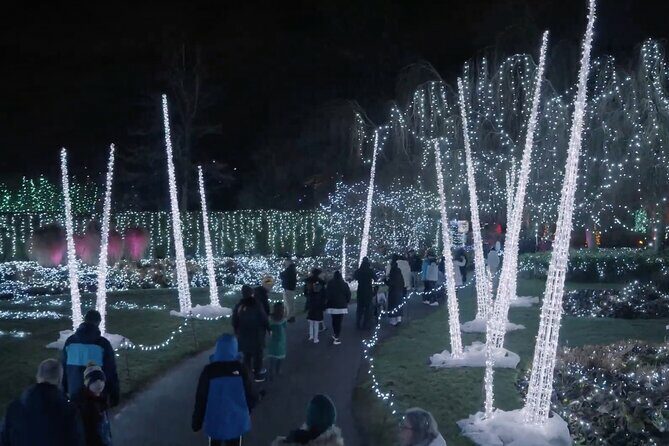 Vancouver Christmas Lights Karaoke Trolley Tour - The Sum Up: Is It Worth It?