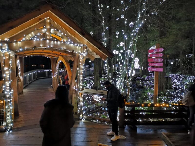 Vancouver: Christmas Tour With Light Festival Entrance - Itinerary Highlights