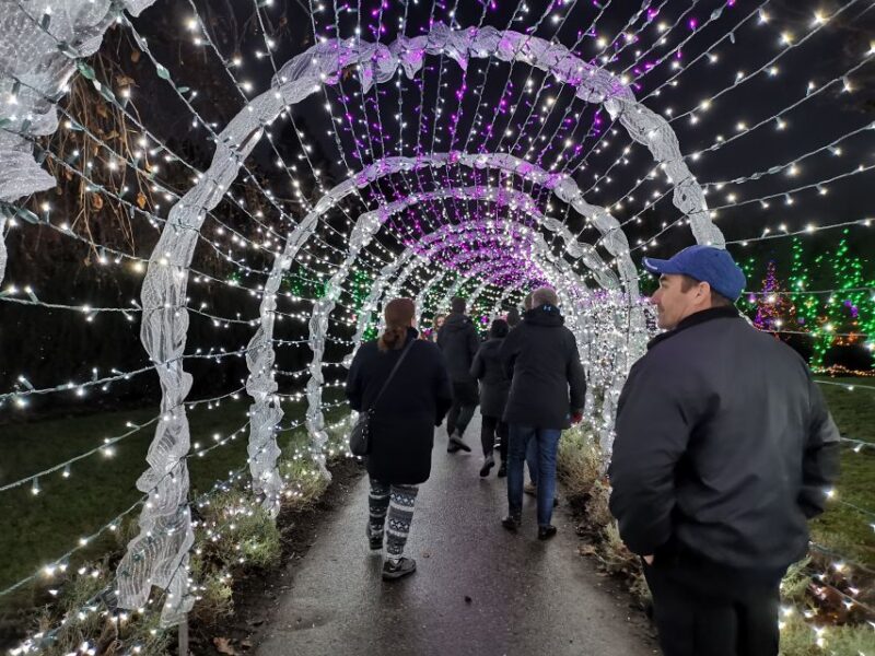 Vancouver: Christmas Tour With Light Festival Entrance - Stanley Park Bright Nights