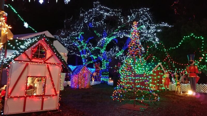Vancouver: Christmas Tour With Light Festival Entrance - Downtown Vancouver Sights