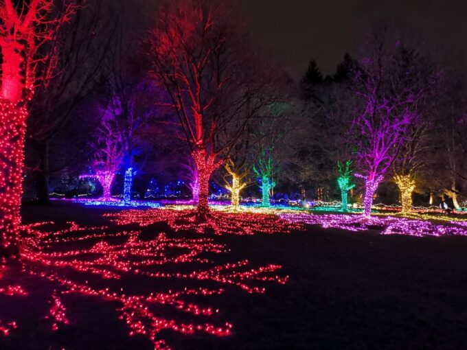 Vancouver: Christmas Tour With Light Festival Entrance - Capilano Suspension Bridge Park