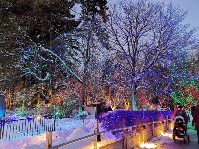 Vancouver: Christmas Tour With Light Festival Entrance - Transportation and Amenities