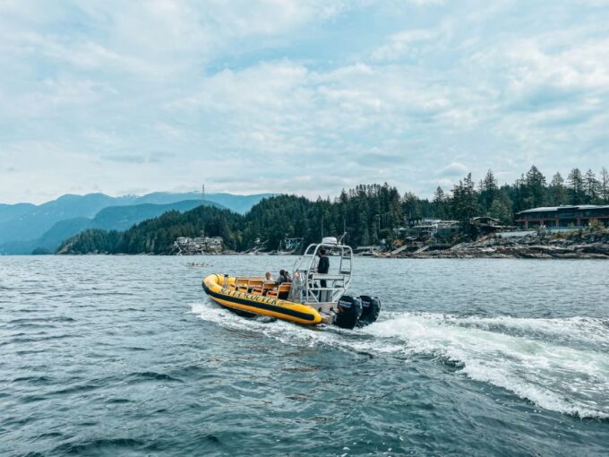 Vancouver: City and Nature Sightseeing RIB Tour - Frequently Asked Questions