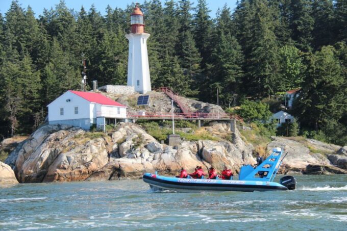 Vancouver: City and Seal Boat Tour - Coastline Exploration