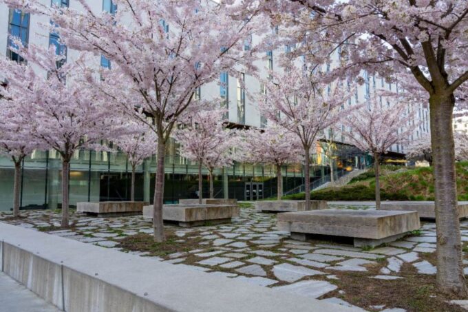 Vancouver: City, Beaches and Coastal Drive Self-Guided Tour - Discovering Historical Figures