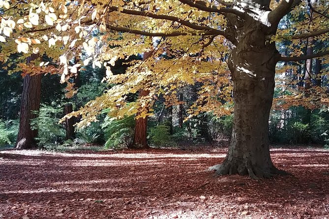 Vancouver City Highlights Explorer Private Tour - Highlights of the Tour