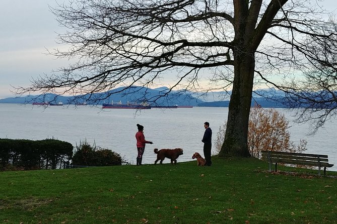 Vancouver City Highlights Explorer Private Tour - Dining and Refreshment Stops