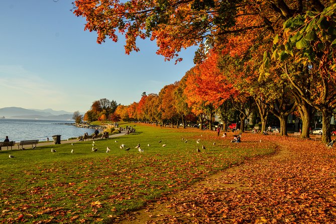 Vancouver City & Nature Photography - Photography Instruction
