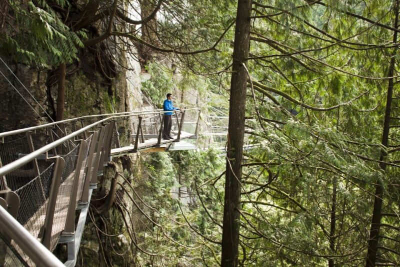 Vancouver: City Tour and Capilano Suspension Bridge Ticket - Key Points