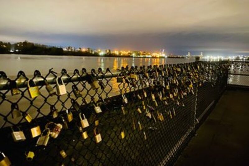 Vancouver City Tour for Couples Half-Day Private - Tour Highlights