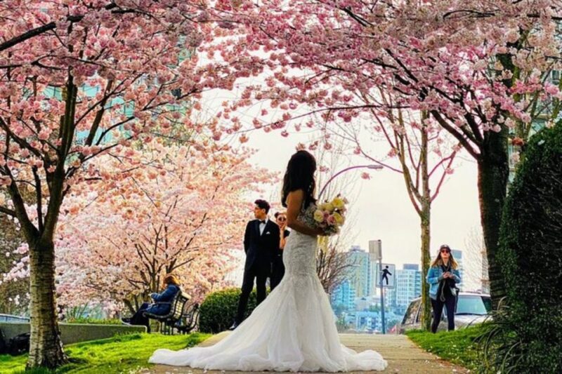 Vancouver City Tour With Cherry Blossom Festival Private - Key Points