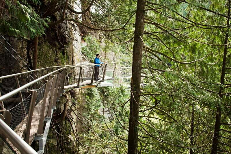 Vancouver: City+Lookout+Capilano Suspension Bridge Ticket - Transportation and Logistics