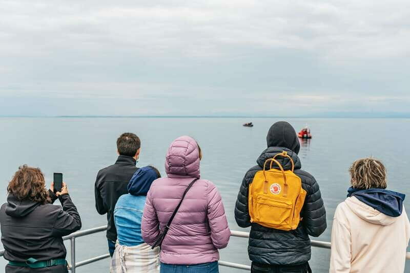 Vancouver: Covered Whale Watching Adventure with Free Photos - The Sum Up