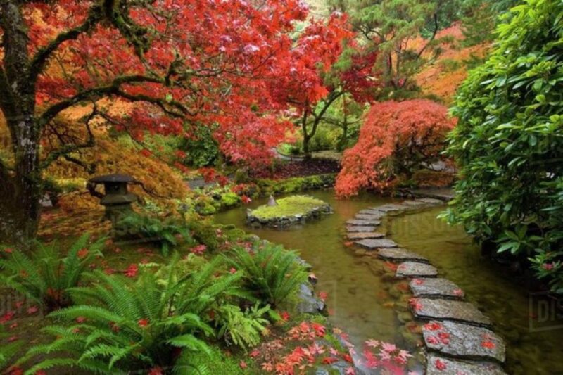 Vancouver Day Tour | Visit The Most Unique Places! Private - Experience Highlights