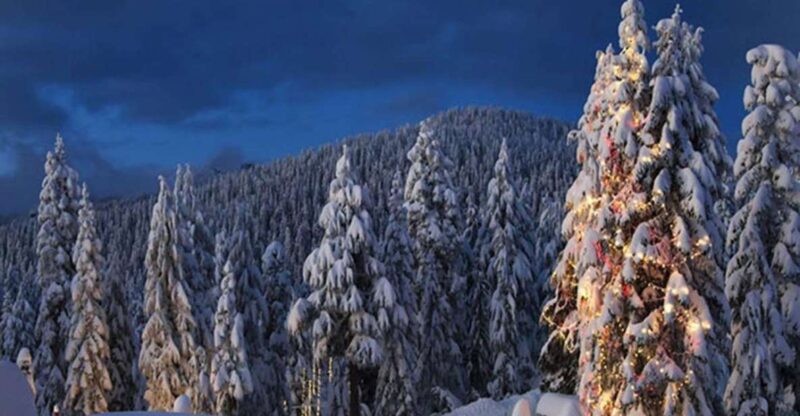 Vancouver Day Trip|Grouse Mountain&Capilano Suspension - Grouse Mountain Experience