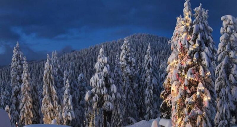 Vancouver Day Trip|Grouse Mountain&Capilano Suspension - Inclusions
