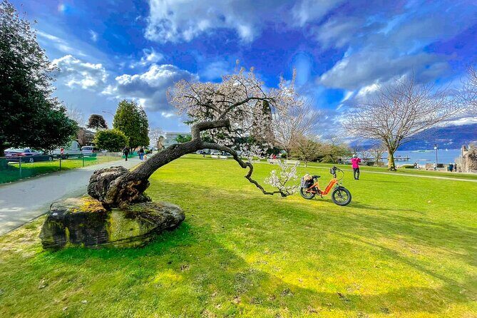 Vancouver E-Bike Rentals - Premium Seawall Bike Path Location - Who Will Love This Tour?