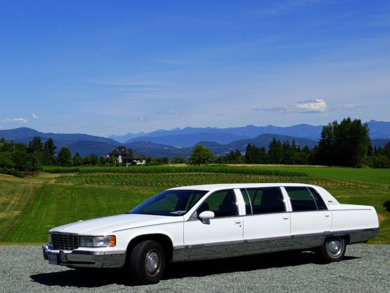 Vancouver: Full-Day City Tour and Wine Tasting - Itinerary Highlights