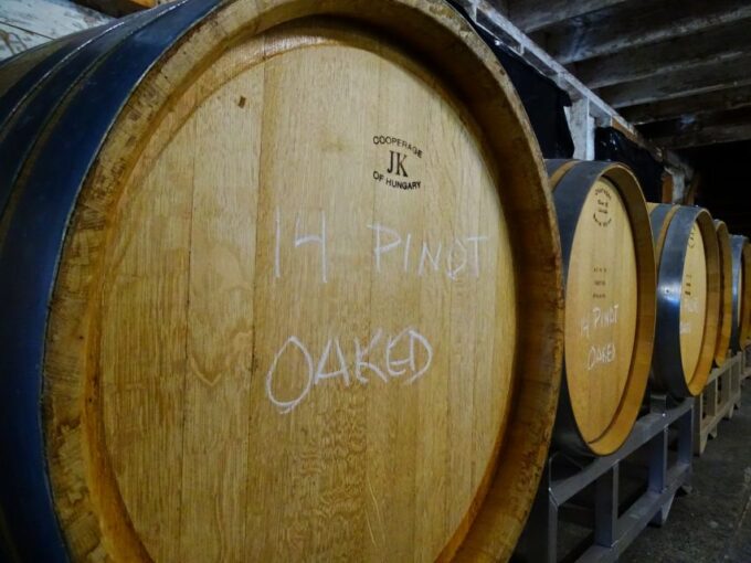 Vancouver: Full-Day City Tour and Wine Tasting - Local Guide and Transport