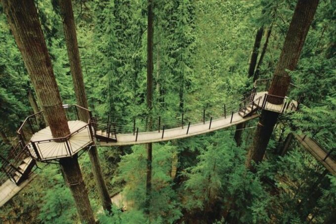 Vancouver Grouse Mountain & Capilano Suspension Bridge - Frequently Asked Questions