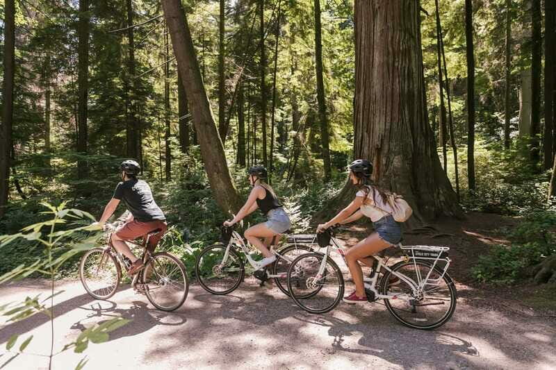 Vancouver: Half-Day City Highlights E-Bike Tour Age 16+ - Final Thoughts