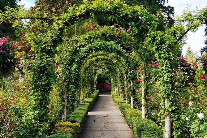 Vancouver Island 2-Day Tour 3/4/5 Star Hotel (Chinese & Eng) - Tour Operator Profile