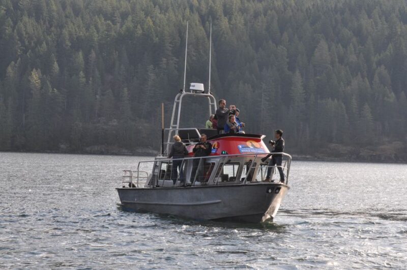 Vancouver Island: Full-Day Grizzly Bear Tour at Toba Inlet - Itinerary