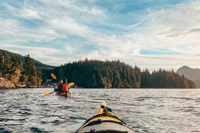 Vancouver Island: Half-Day Kayak Tour from Telegraph Cove - Key Points