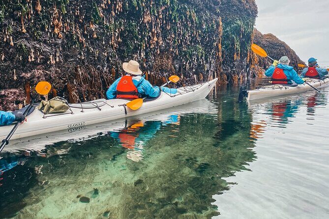 Vancouver Island: Half-Day Kayak Tour from Telegraph Cove - Who Would Enjoy This Tour?