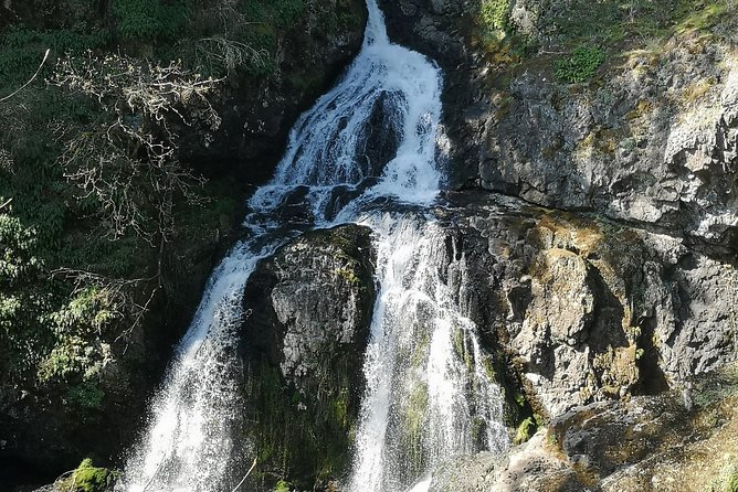 Vancouver Island Rainforest Guided Hike With Private Guide - Hiking Gear and Attire