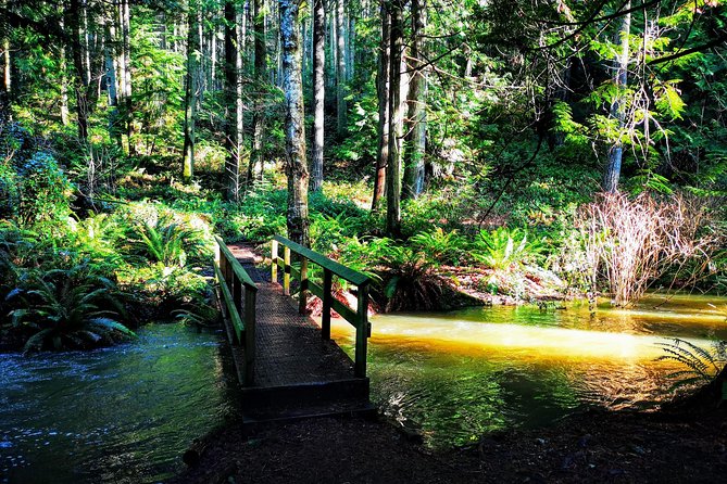 Vancouver Island Rainforest Guided Hike With Private Guide - Guided Tour Inclusions