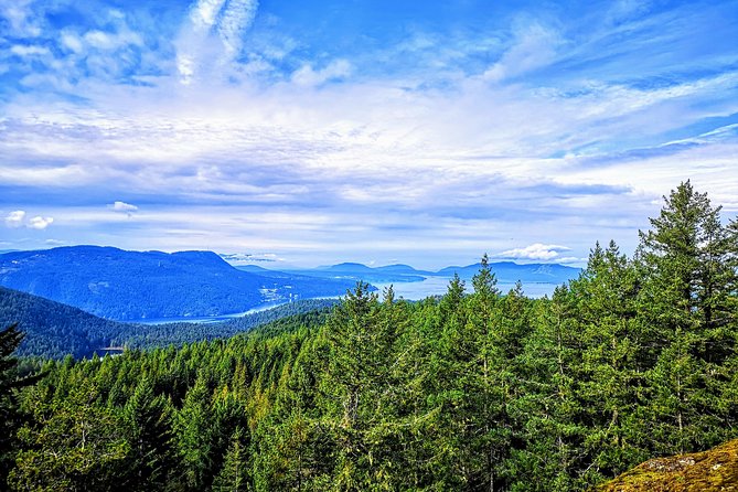 Vancouver Island Rainforest Guided Hike With Private Guide - Booking Confirmation