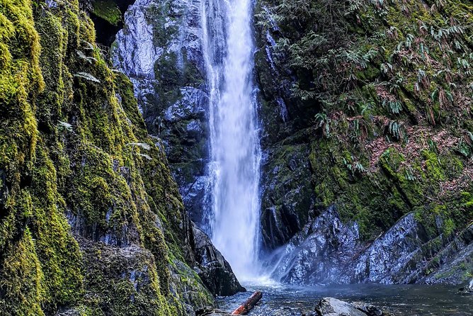 Vancouver Island Rainforest Guided Hike With Private Guide - Accessibility and Health Considerations