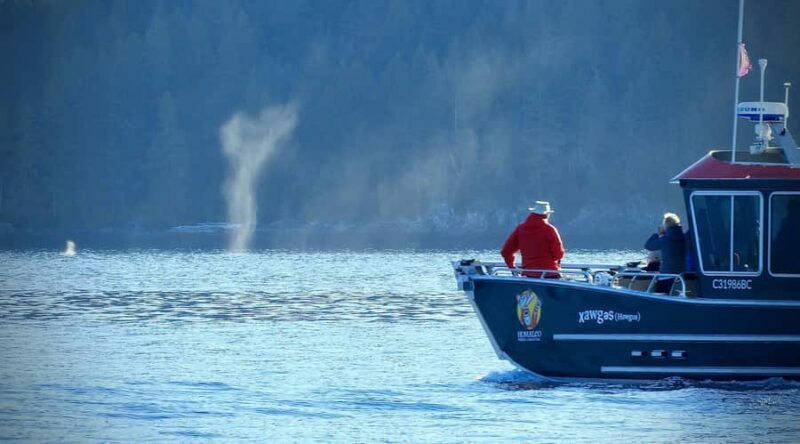 Vancouver Island: Spring Bears and Whales Full-Day Tour - Key Points