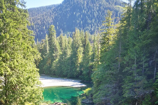 Vancouver Island Tour, The Wilderness Explorer to Nahmint Valley - Meeting and Pickup Location
