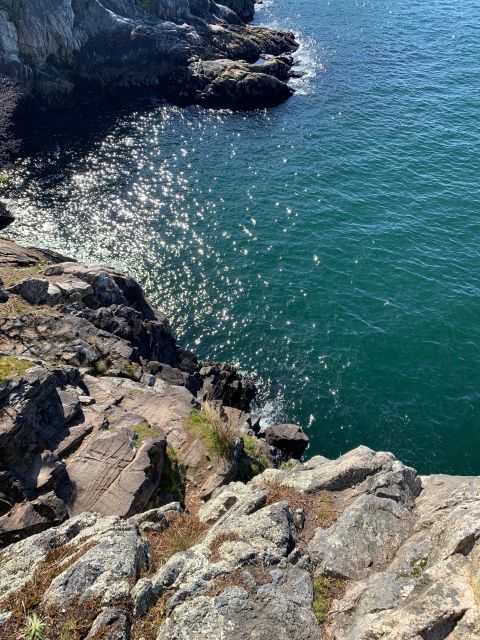 Vancouver: Lighthouse Park Hike - Explore Lighthouse Park