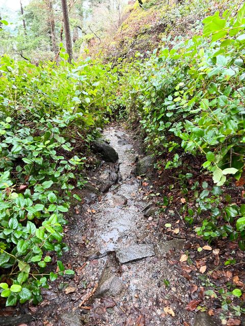 Vancouver: Lighthouse Park Hike - Inclusions and Amenities